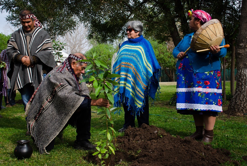Andes on line | Füta Repü de Calle Larga celebró el año nuevo Mapuche ...